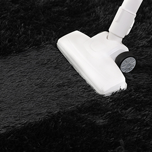 ease to clean area rug