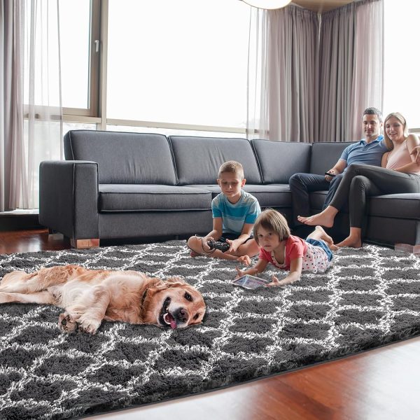Plush Area Rug 4x6 Feet High Pile Rugs for Living Room, Ultra Soft Indoor Carpet for Bedroom, Kids Room, Playroom, Home Decor, Geometric, Light Grey/White - Image 35