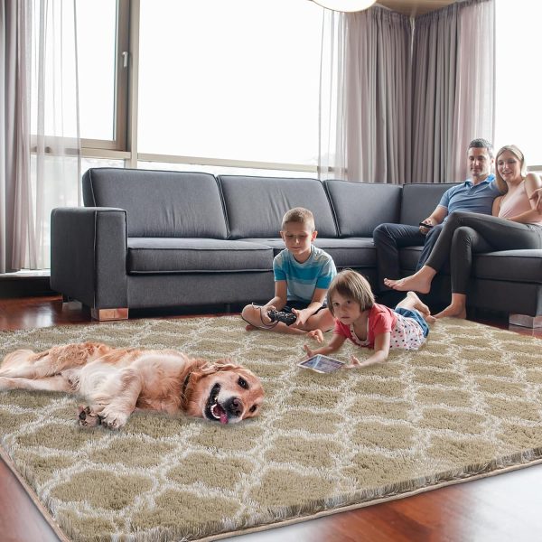 Plush Area Rug 4x6 Feet High Pile Rugs for Living Room, Ultra Soft Indoor Carpet for Bedroom, Kids Room, Playroom, Home Decor, Geometric, Light Grey/White - Image 43