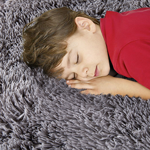 living room rug