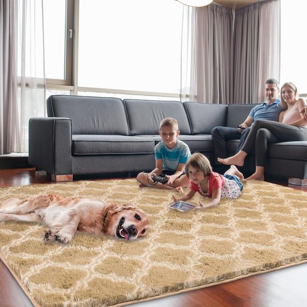 Plush Area Rug 4x6 Feet High Pile Rugs for Living Room, Ultra Soft Indoor Carpet for Bedroom, Kids Room, Playroom, Home Decor, Geometric, Light Grey/White - Image 54