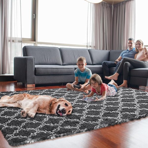 Plush Area Rug 4x6 Feet High Pile Rugs for Living Room, Ultra Soft Indoor Carpet for Bedroom, Kids Room, Playroom, Home Decor, Geometric, Light Grey/White - Image 63