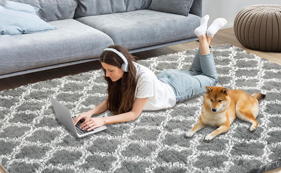 gray rugs for living room